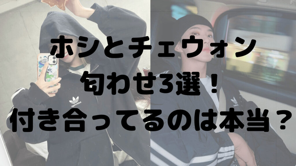 ホシとチェウォンの匂わせ3選！付き合ってるのは本当？いつから？